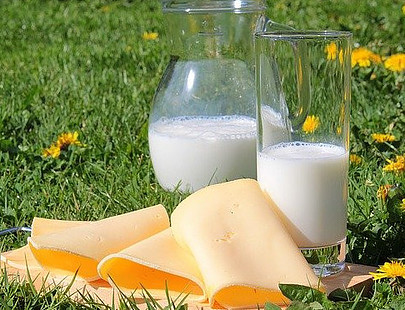 dairy products are good sources of BCAAs