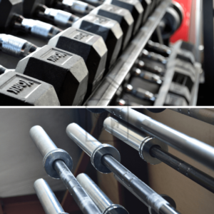 Which is better for beginners? Dumbbell or barbell?